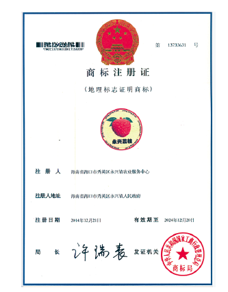 BaiduShurufa_2021-12-25_21-55-47-tuya.png