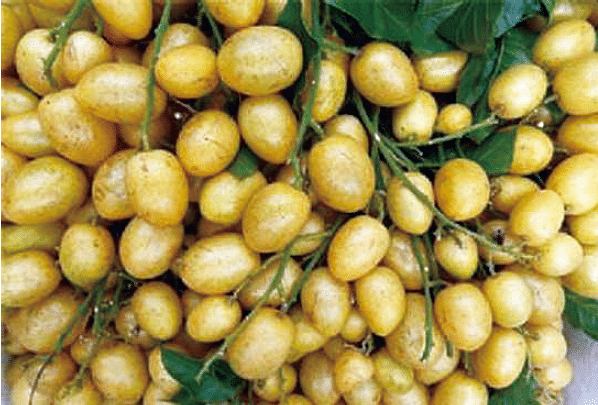 BaiduShurufa_2021-12-25_21-56-13-tuya.png