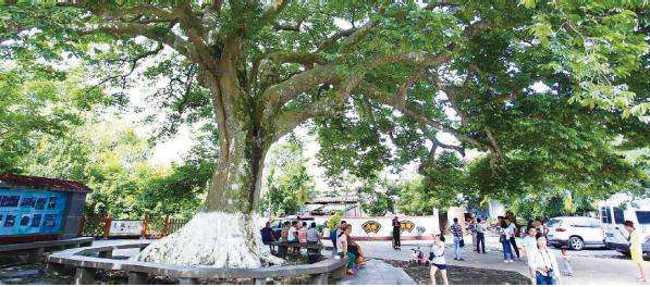 BaiduShurufa_2021-12-25_21-57-24.png