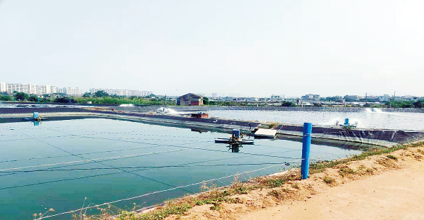 BaiduShurufa_2021-12-25_21-59-58-tuya.png