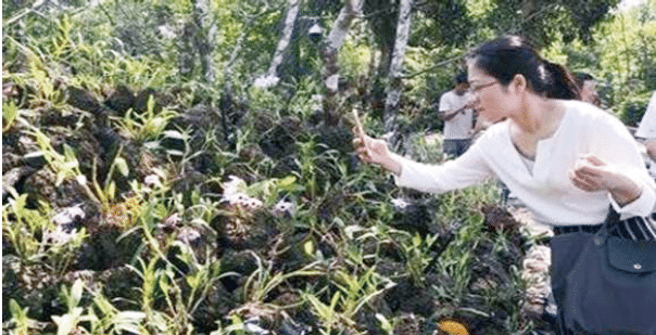 BaiduShurufa_2021-12-25_22-2-59-tuya.png