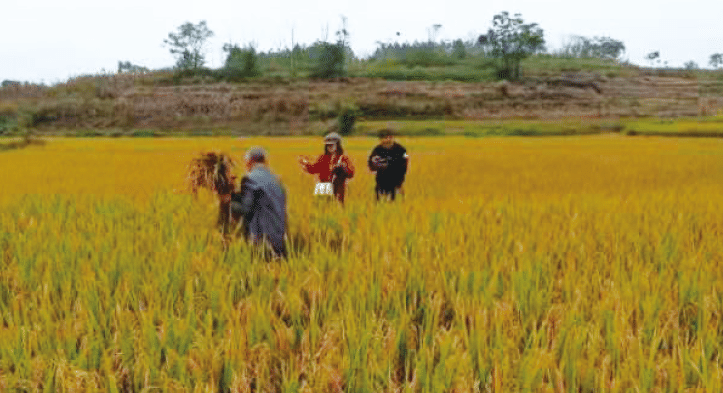 BaiduShurufa_2021-12-29_14-18-29-tuya.png