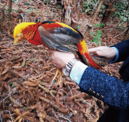 BaiduShurufa_2021-12-29_14-19-34-tuya.png
