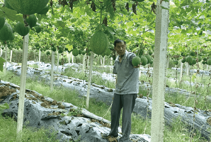 BaiduShurufa_2021-12-29_15-51-3-tuya.png