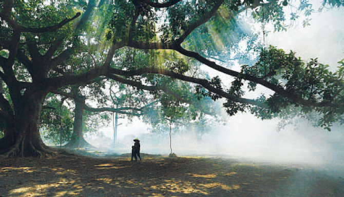 BaiduShurufa_2021-12-30_22-36-57-tuya.png