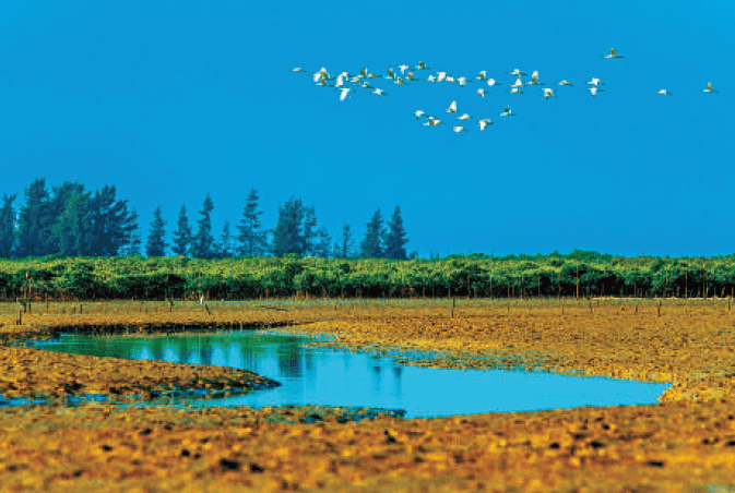 BaiduShurufa_2021-12-30_22-37-16-tuya.png