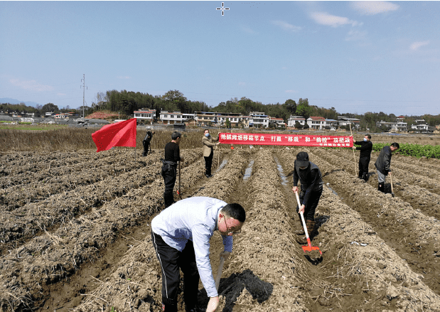 搜狗截图20220101134316-tuya.png