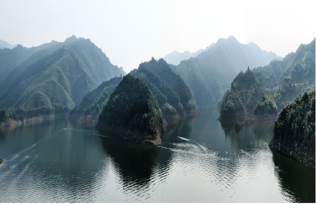 搜狗截图20220101142055-tuya.png