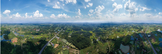 搜狗截图20220101142202-tuya.png