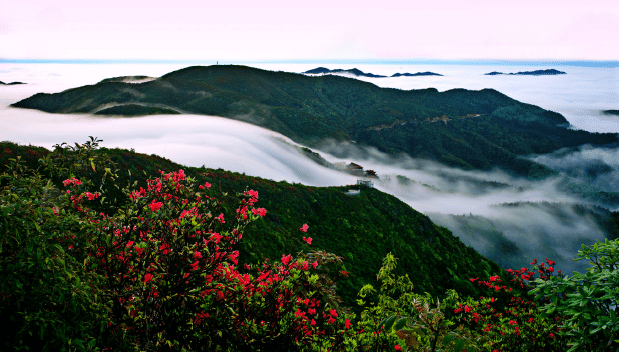 搜狗截图20220101142253-tuya.png