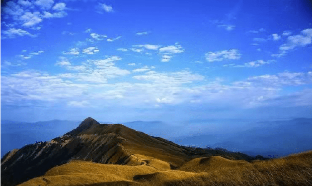 搜狗截图20220101142317-tuya.png
