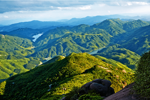 搜狗截图20220101142407-tuya.png