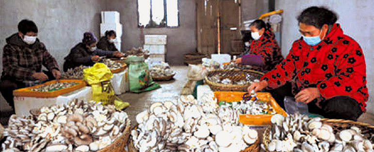 BaiduShurufa_2022-1-14_22-1-42.png