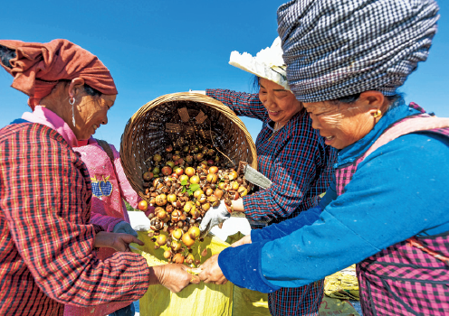 BaiduShurufa_2022-1-14_23-5-31.png