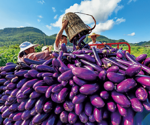 BaiduShurufa_2022-1-14_23-7-51.png