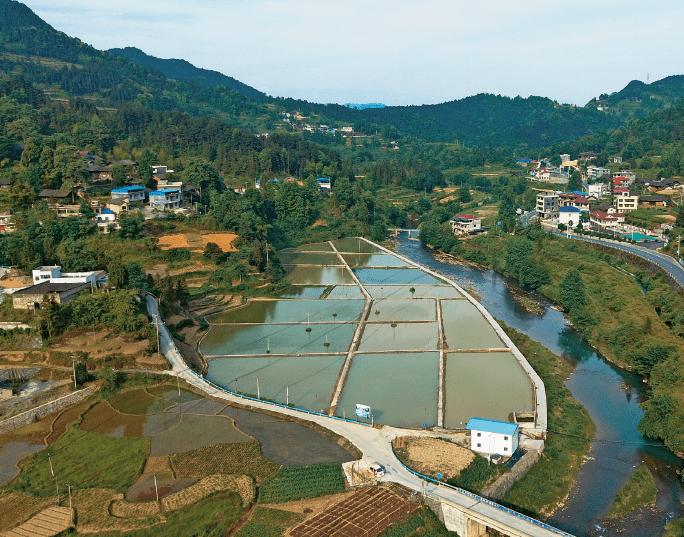 BaiduShurufa_2022-1-14_23-11-43.png