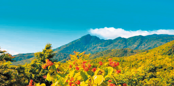 BaiduShurufa_2022-2-10_10-57-35.png