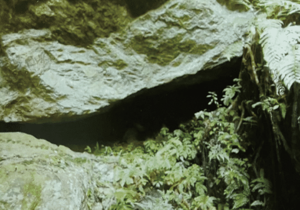 BaiduShurufa_2022-2-10_10-57-48.png