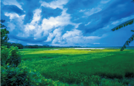 BaiduShurufa_2022-2-13_22-36-11.png