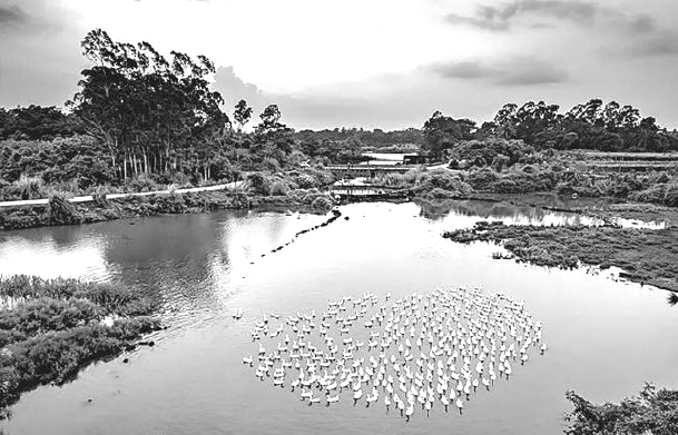 BaiduShurufa_2022-2-13_22-41-53.png
