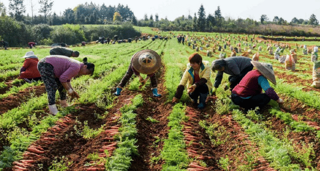 BaiduShurufa_2022-2-28_16-42-18.png