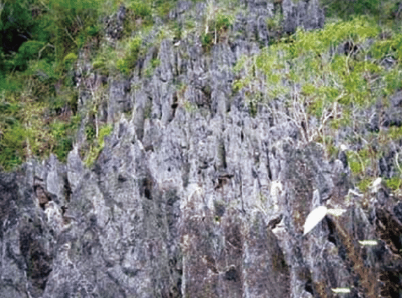 BaiduShurufa_2022-3-10_16-21-47.png