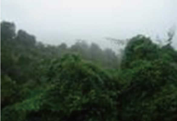BaiduShurufa_2022-3-10_16-21-57.png