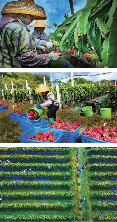 BaiduShurufa_2022-5-4_19-19-46.png