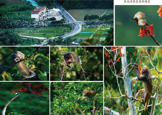 BaiduShurufa_2022-4-7_11-2-21.png
