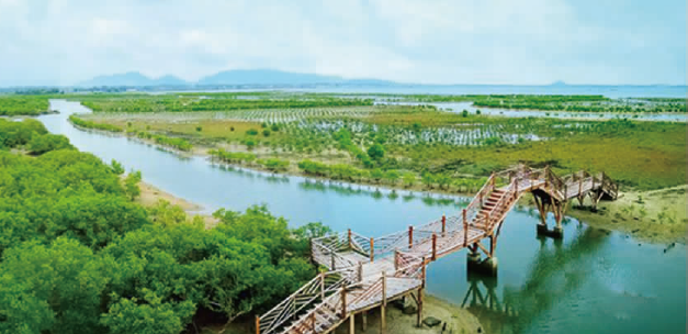 BaiduShurufa_2022-5-10_10-43-7.png
