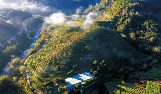 BaiduShurufa_2022-5-19_10-48-56.png
