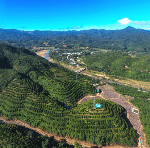 BaiduShurufa_2022-5-19_15-13-47.png