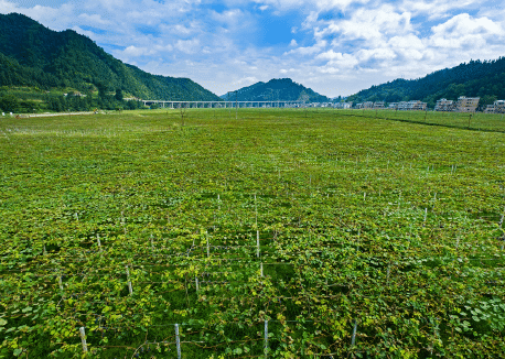 BaiduShurufa_2022-8-3_10-30-44.png