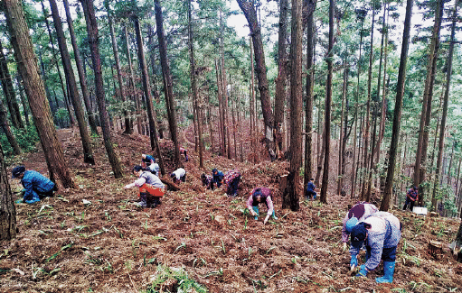 BaiduShurufa_2022-8-3_10-31-13.png