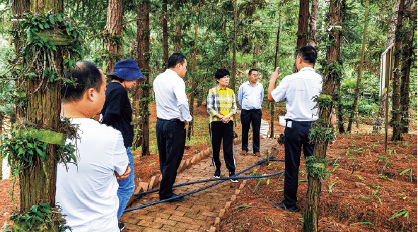 BaiduShurufa_2022-8-3_10-31-58.png