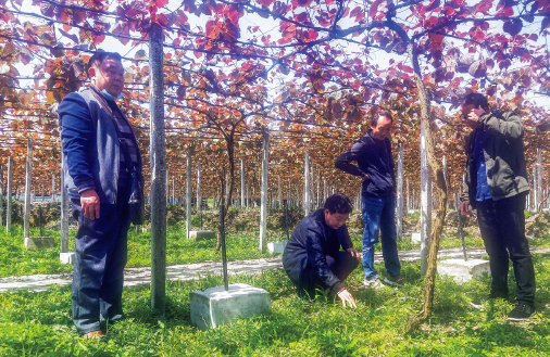 BaiduShurufa_2022-8-3_10-33-30.png