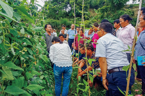 BaiduShurufa_2022-8-3_10-33-39.png
