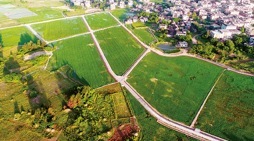 BaiduShurufa_2023-1-6_17-39-19.png