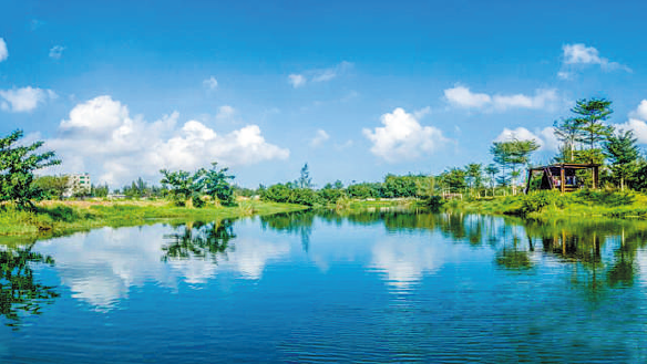 BaiduShurufa_2023-3-3_9-18-28.png