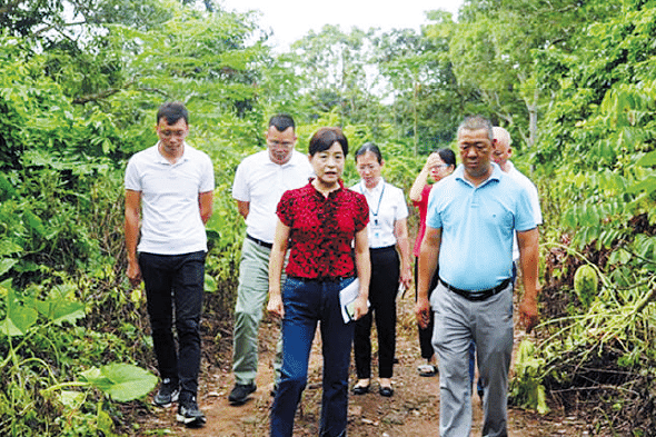 BaiduShurufa_2023-3-3_9-26-4.png