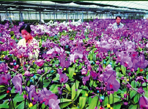 BaiduShurufa_2023-3-3_9-39-40.png