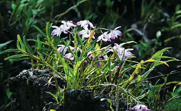 BaiduShurufa_2023-3-3_9-41-35.png