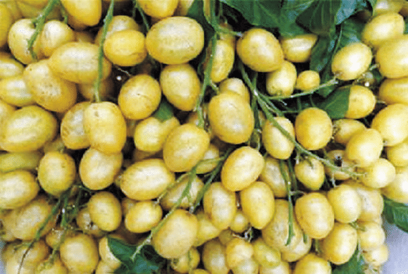 BaiduShurufa_2023-3-3_9-42-8.png