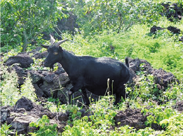 BaiduShurufa_2023-3-3_9-42-29.png