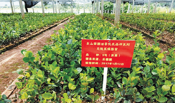 BaiduShurufa_2023-3-3_9-44-51.png