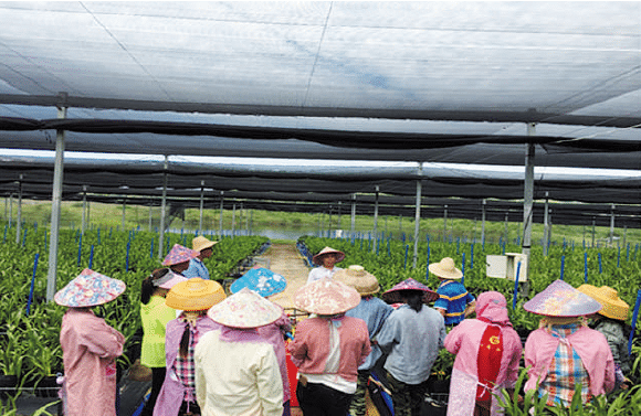 BaiduShurufa_2023-3-3_9-45-2.png
