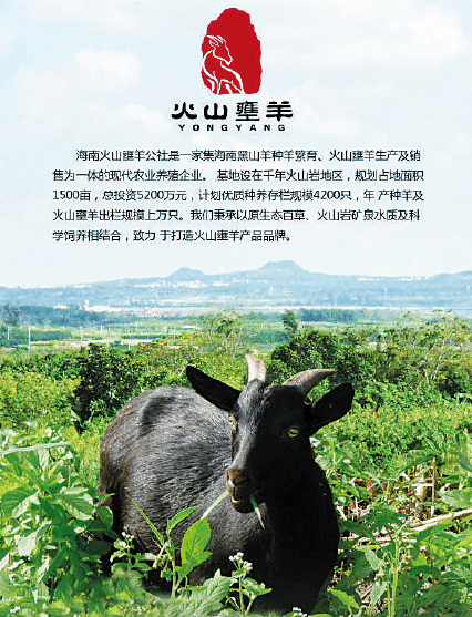 BaiduShurufa_2023-3-3_9-45-23.png