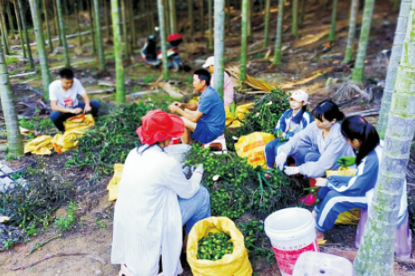 BaiduShurufa_2023-5-8_14-3-40.png