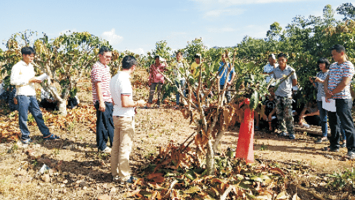 BaiduShurufa_2023-5-8_14-3-50.png