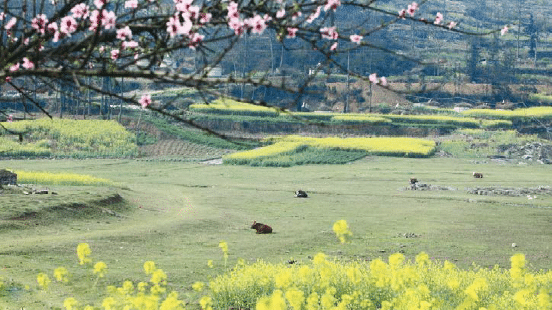 BaiduShurufa_2023-5-11_16-15-34.png